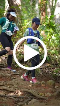 BIB:  <button type="button" onclick="openModal(27581235)" class="btn btn-primary btn-sm float-right" data-toggle="modal" data-target=".modal-high-quality">
                <i class="fa fa-download"></i> Download
                </button>